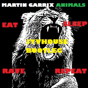 FatBoy Garrix - Animals Eat Sleep Rave Repeat (Jyvhouse Bootleg)